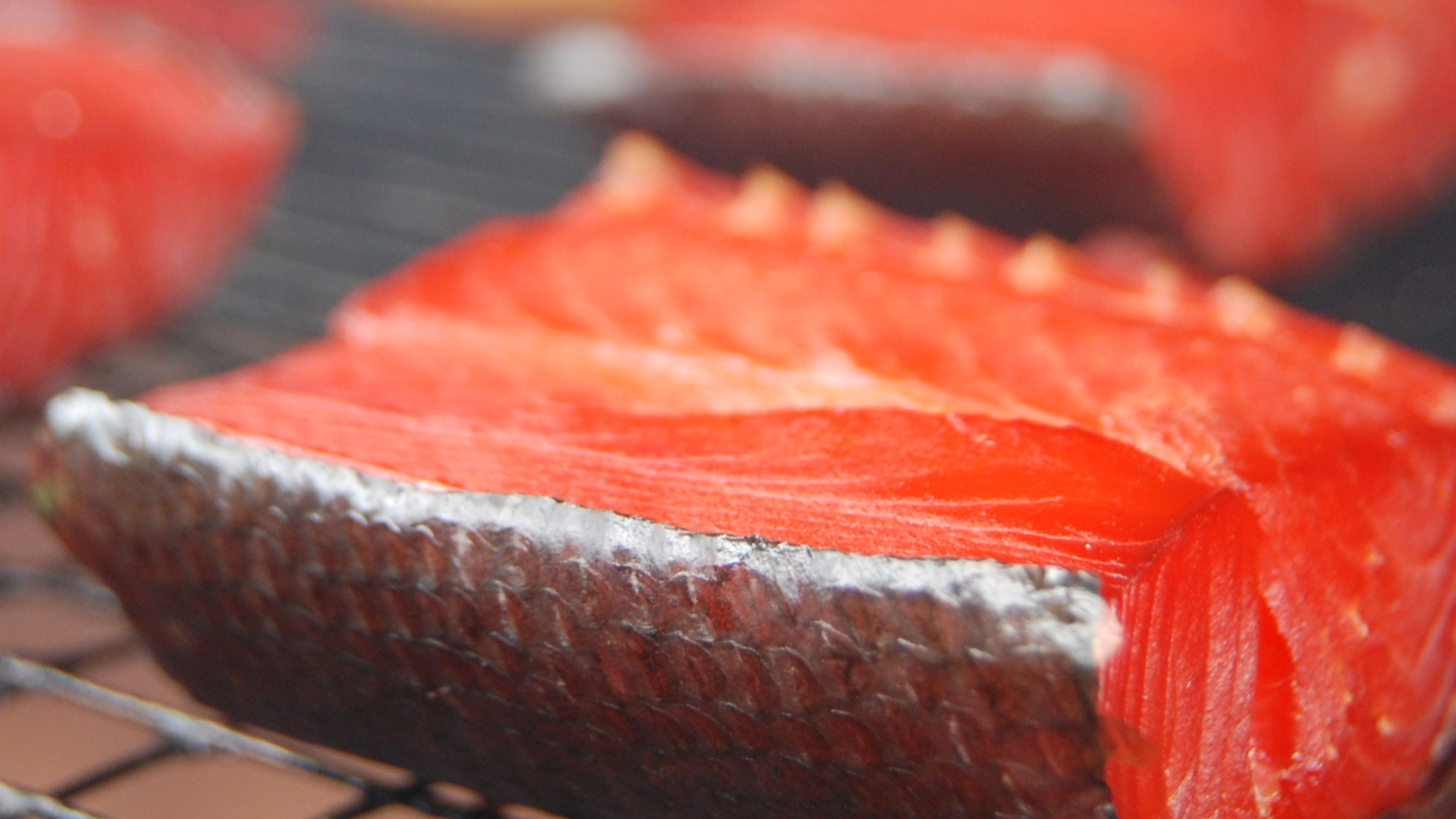 Cured and Smoked Salmon - This smoked salmon is great on a cracker…better on a benedict and best gathered around the cutting board chowing it down before it even makes it on a platter.