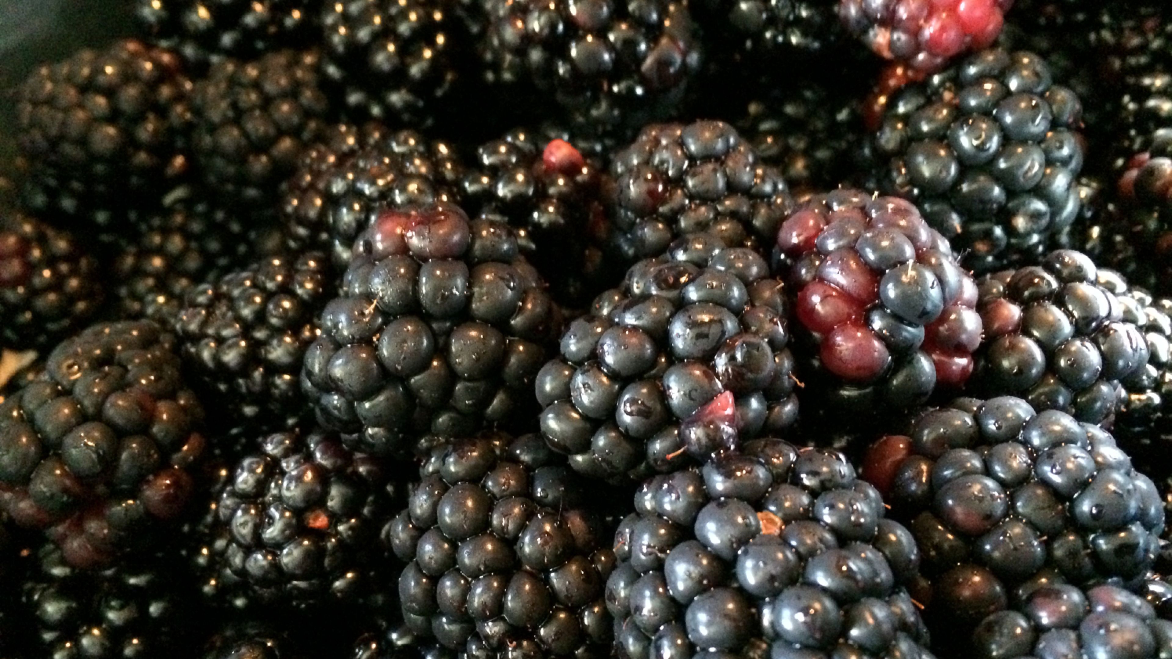 Blackberry Preserves