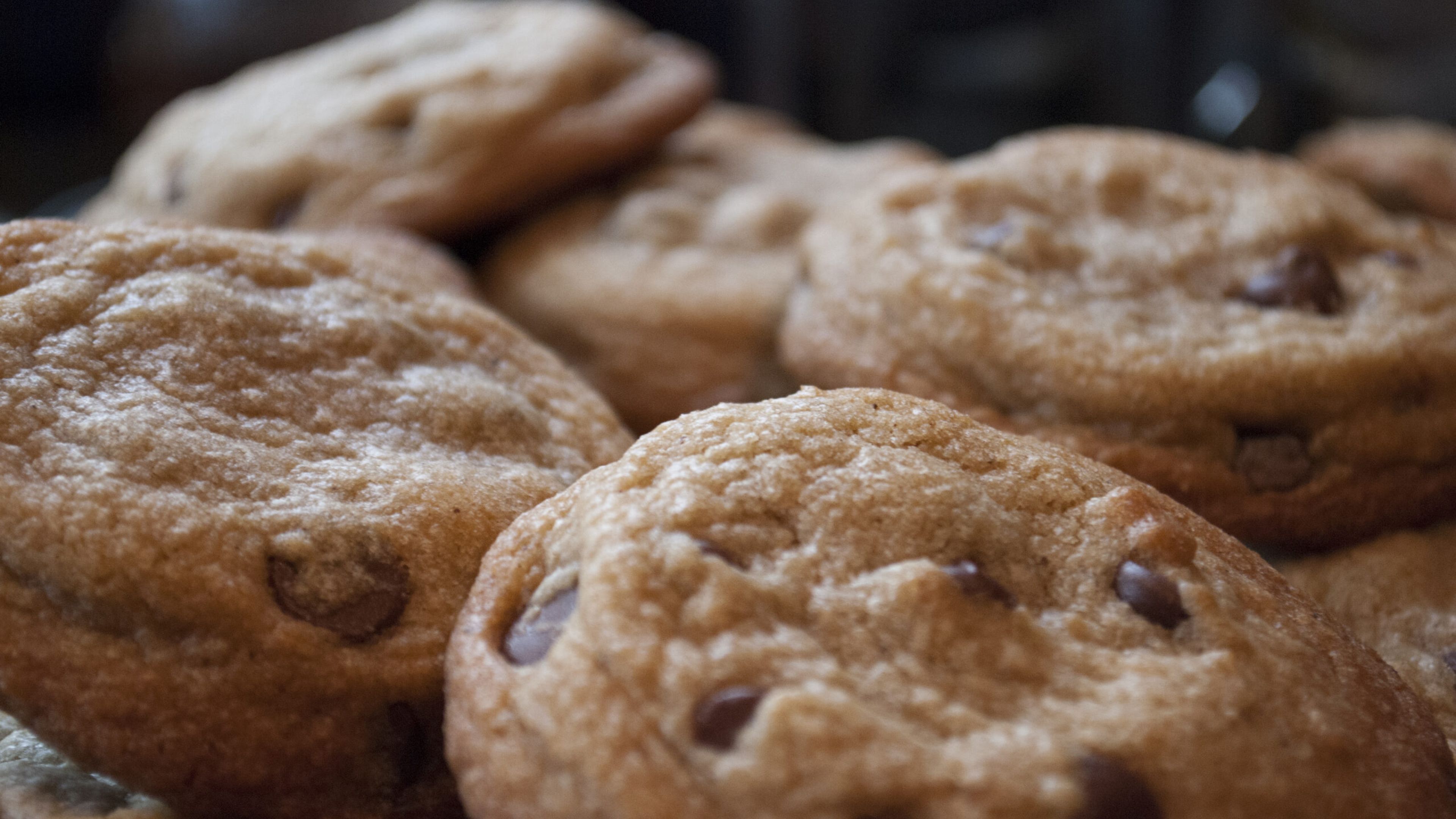 Eric’s Perfect Chocolate Chip Cookie