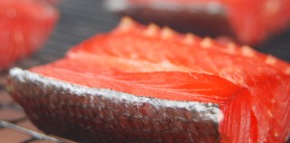 Cured and Smoked Salmon